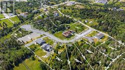 12 Alex Moores Court Harbour Grace, NL A0A 2M0