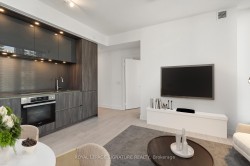2514-35 Mercer Street  Toronto, ON M5V 0T8