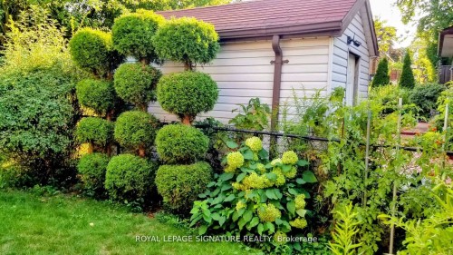 7 Jarwick Drive, Toronto, ON - Outdoor