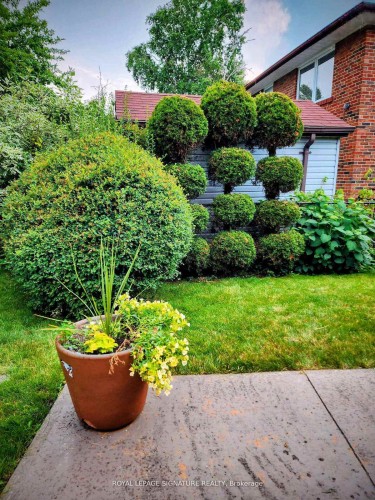 7 Jarwick Drive, Toronto, ON - Outdoor