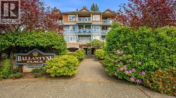 303 1912 Comox Ave  Comox, BC V9M 3M4
