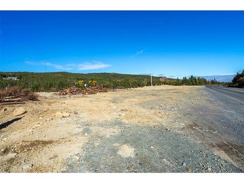0 Cranes Road, Spaniards Bay, NL 