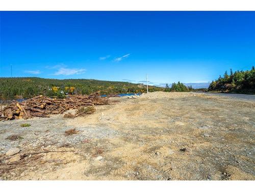 0 Cranes Road, Spaniards Bay, NL 