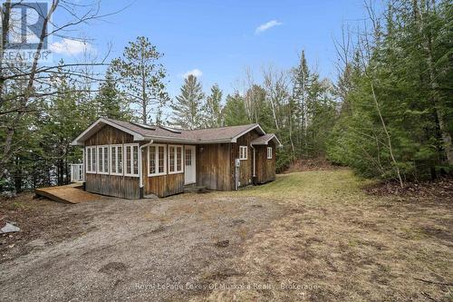 4291 Kawagama Lake Road, Algonquin Highlands (Sherborne), ON - Indoor Photo Showing Living Room