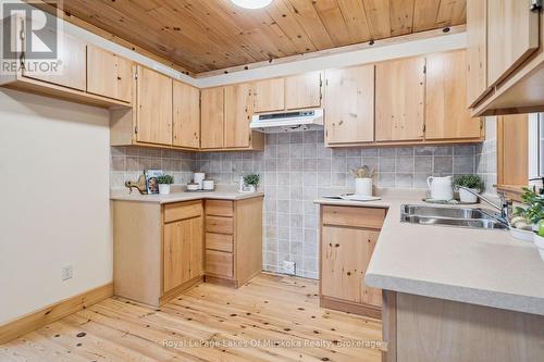 4291 Kawagama Lake Road, Algonquin Highlands (Sherborne), ON - Indoor Photo Showing Kitchen With Double Sink