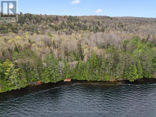 4291 Kawagama Lake Road, Algonquin Highlands (Sherborne), ON - Outdoor With Body Of Water With View