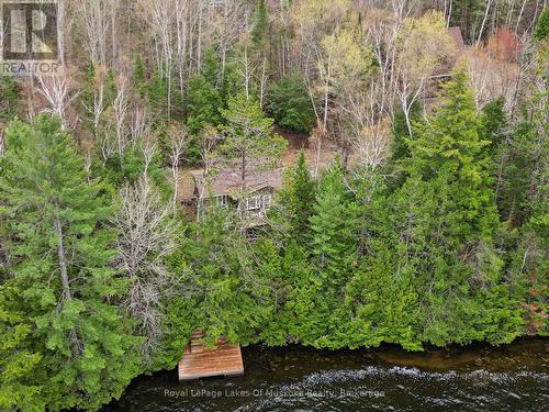 4291 Kawagama Lake Road, Algonquin Highlands (Sherborne), ON - Outdoor