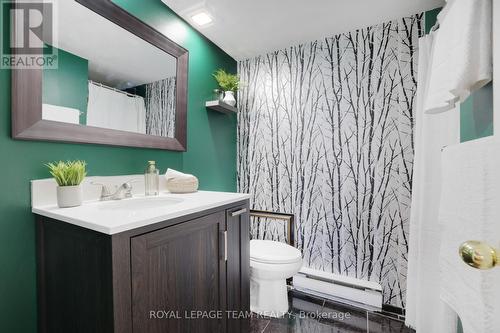 216 Steenbakkers Private, Ottawa, ON - Indoor Photo Showing Bathroom