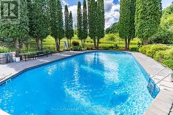 Pool and gardens - 