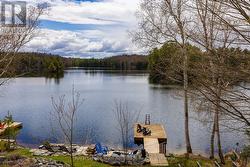 View from Juliette Balcony - 