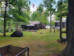 Rear Yard - 