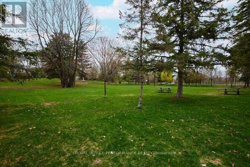 19 Windsor Avenue, Ottawa, ON - Outdoor