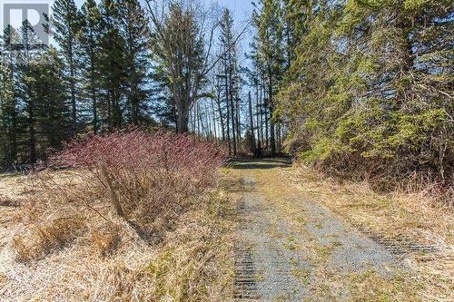 135 Jeffrey Side Rd, Bruce Mines, ON - Outdoor With View