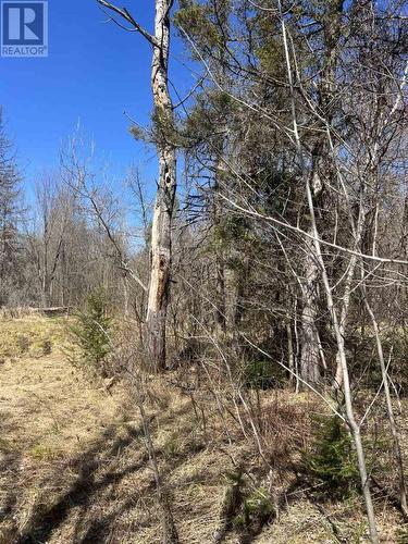 995 River Rd E, Massey / Sables-Spanish, ON 