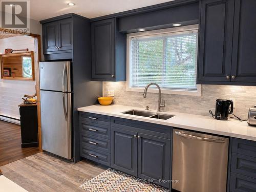 369 Loon Lake Road, Kearney, ON - Indoor Photo Showing Kitchen With Double Sink