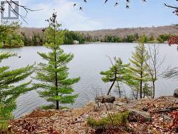 0 LITTLE MORGAN BAY ROAD  Seguin, ON P0C 1H0