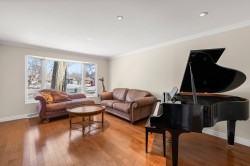 Salon - 