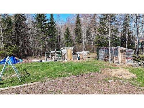 62 Slater Rd, Maxwell, NB 