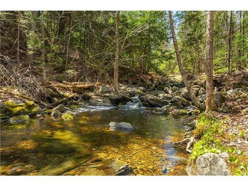 752 Route 127, Rollingdam, NB 