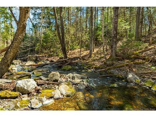 752 Route 127, Rollingdam, NB 