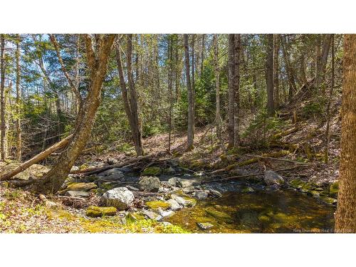 752 Route 127, Rollingdam, NB 