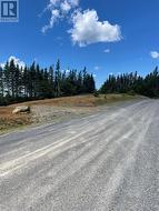 154 Prison Camp Road Salmonier, NL A0A 0A0
