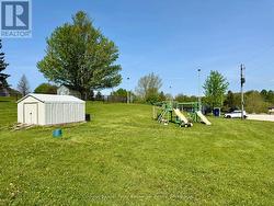 Backyard - 
