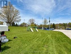 Backyard - 