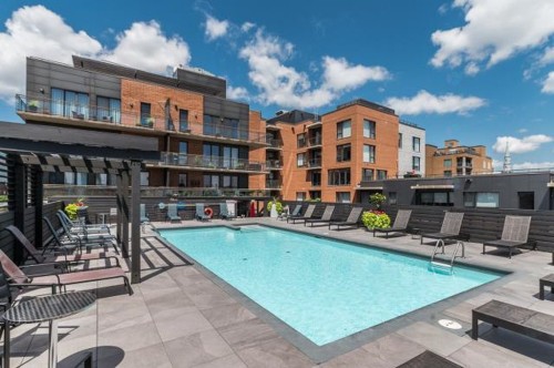 Piscine - 207-1000 Boul. René-Lévesque E., Montréal (Ville-Marie), QC - Outdoor With In Ground Pool