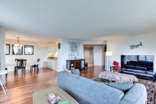 Salon - 702-7 Boul. Simard, Saint-Lambert, QC - Indoor Photo Showing Living Room