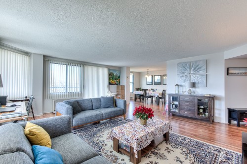 Salon - 702-7 Boul. Simard, Saint-Lambert, QC - Indoor Photo Showing Living Room
