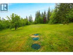 Easy access to septic tanks - 