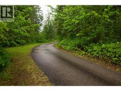 Winding drive way - 