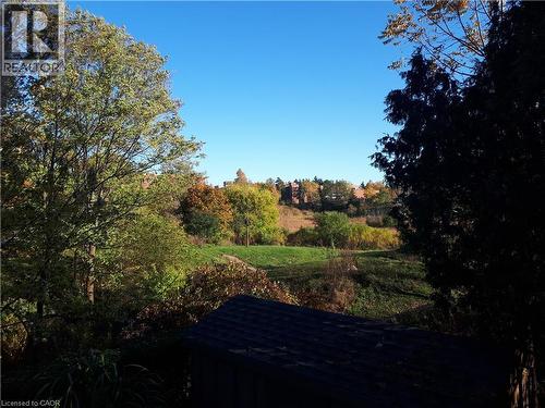 Expansive green space featuring mature trees with varying foliage, a clear blue sky, and distant architectural elements - 3 San Pedro Drive, Hamilton, ON - Outdoor With View