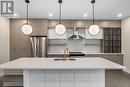705 - 361 Quarter Town Line, Tillsonburg, ON  - Indoor Photo Showing Kitchen With Upgraded Kitchen 