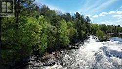 26 MAGNET ROAD Magnetawan (Ahmic Harbour), ON P0A 1P0