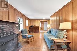 Living room with fireplace - 