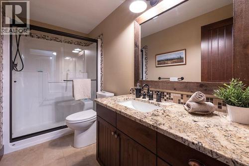 basement bathroom  ground level - 30 Silver Ridge Drive, Fernie, BC - Indoor Photo Showing Bathroom