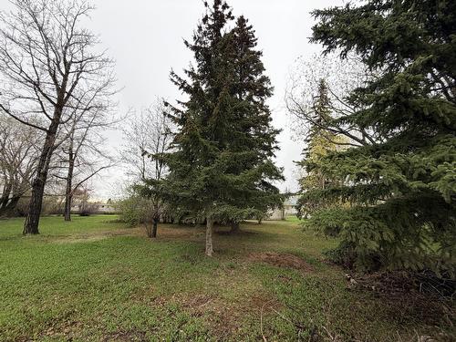 Rural Westlock County, Alberta 