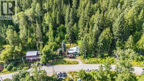 1835 Granite Road, Nelson, BC - Outdoor With View