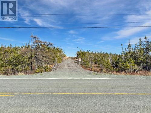 556 Salmonier Line, Salmonier, NL 