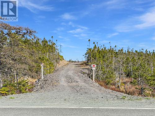 556 Salmonier Line, Salmonier, NL 