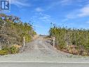 556 Salmonier Line, Salmonier, NL 