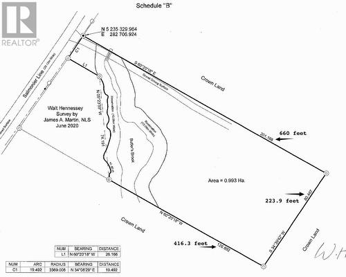 556 Salmonier Line, Salmonier, NL 