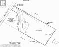 556 Salmonier Line, Salmonier, NL 