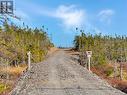 556 Salmonier Line, Salmonier, NL 