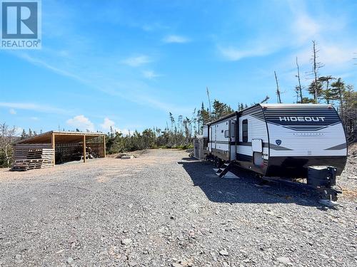 556 Salmonier Line, Salmonier, NL 