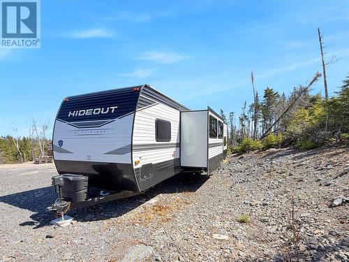 556 Salmonier Line, Salmonier, NL 