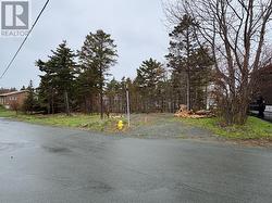 12 Browns Lane Conception Bay South, NL A1W 4C3