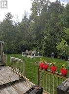 Aux - Front Yard - 